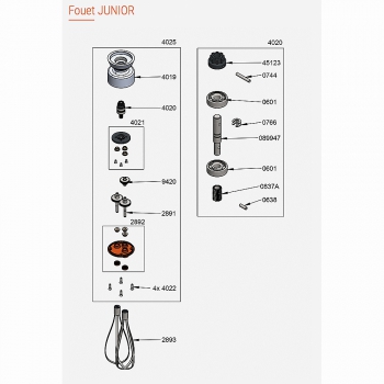 Pièces Détachées Fouet Junior Dynamic