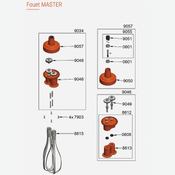 Pièces Détachées Fouet Master Dynamic