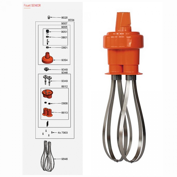 Pièces Détachées Fouet Senior Dynamic - DYNAMIC