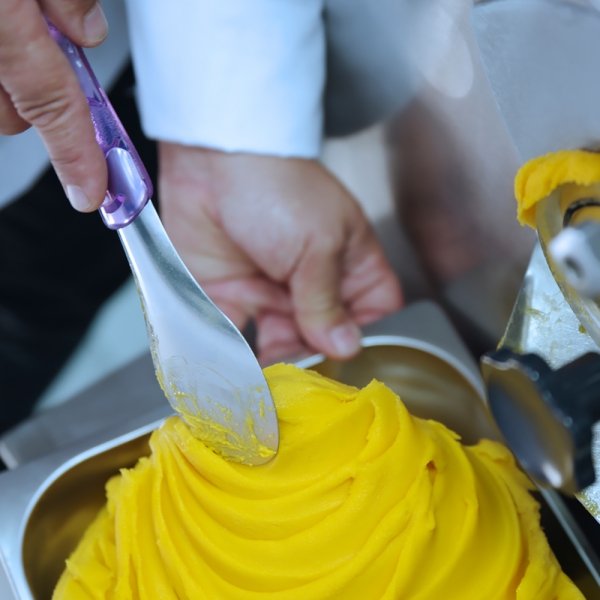 Spatule à Glace avec Manche rouge en Tritan Hendi - HENDI