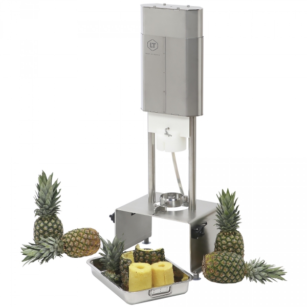 Pièces Détachées Epluche Ananas Electrique Inox Tellier - TELLIER